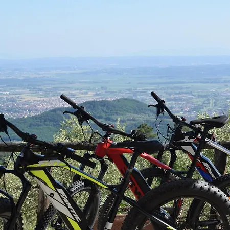 Alloggio per agriturismo Menghino Nievole